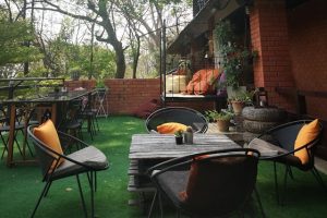 Trädgård & uterum Trädgård & uterum